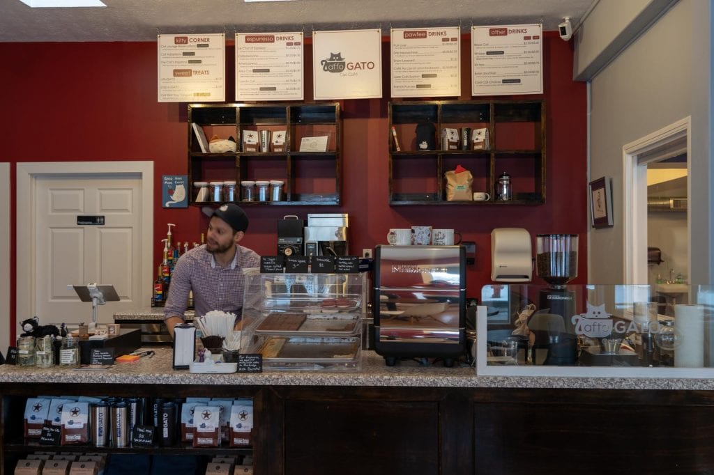 Cafetería para gatos AffoGATO