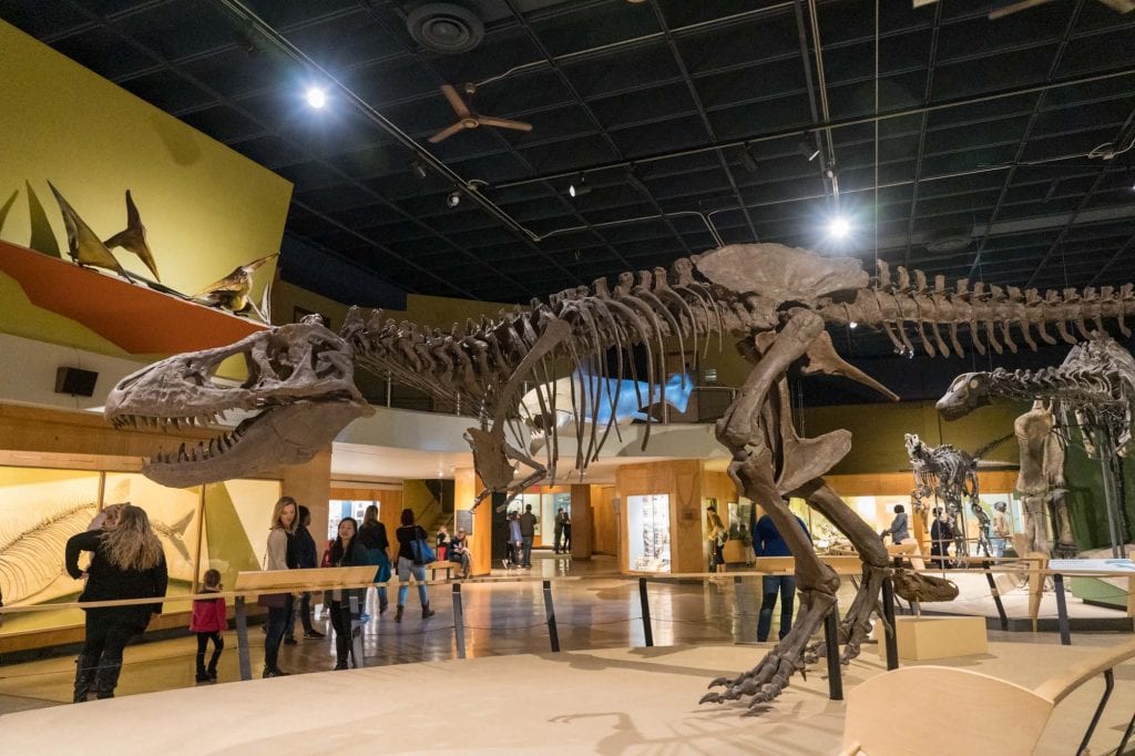 Museo de Historia Natural de Cleveland