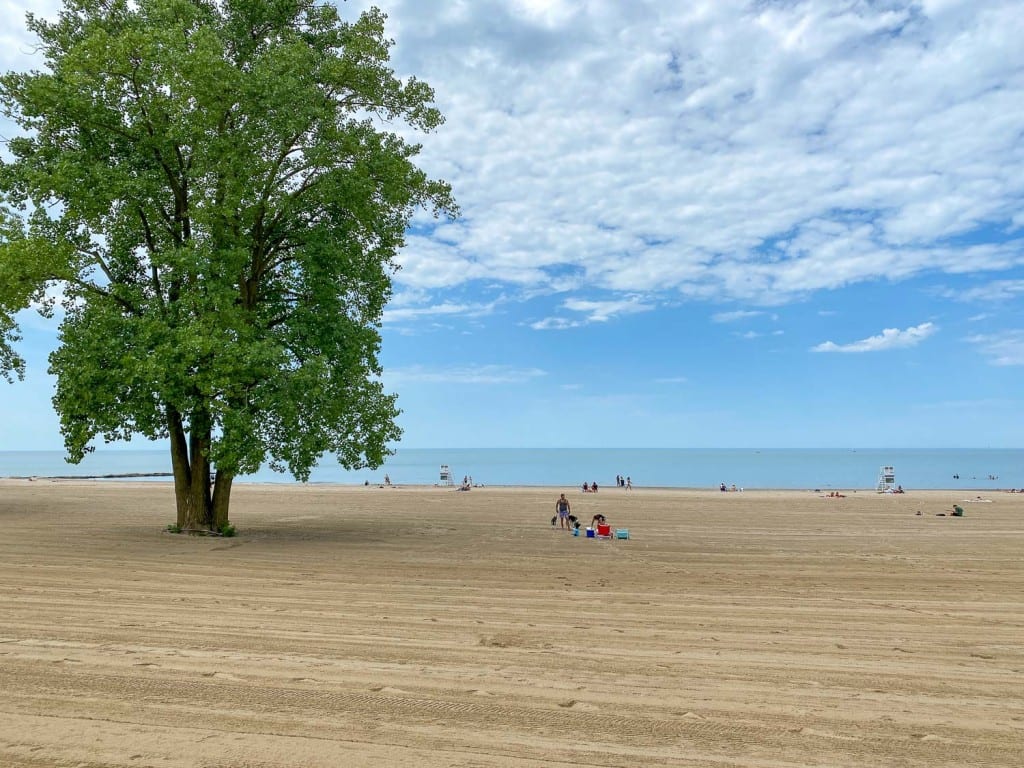 Arena de la playa de Edgewater