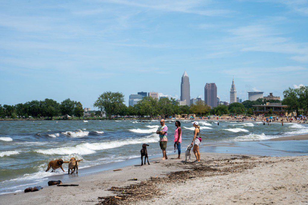 Playa para perros de Edgewater