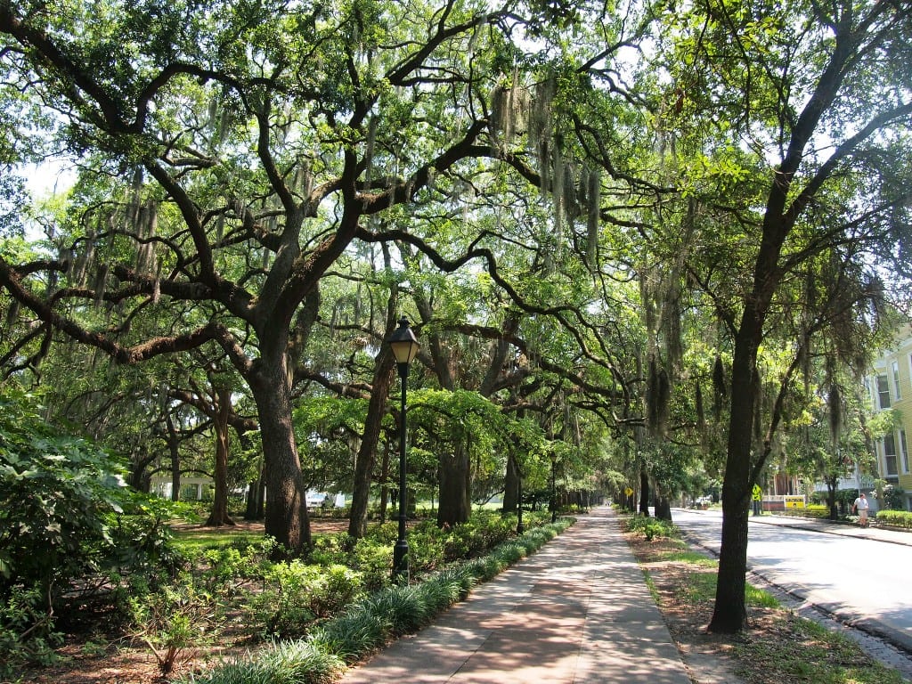 Acera en Savannah, Georgia