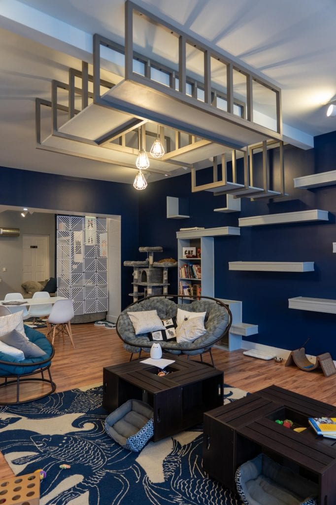 Sala de estar para gatos en el café para gatos AffoGATO