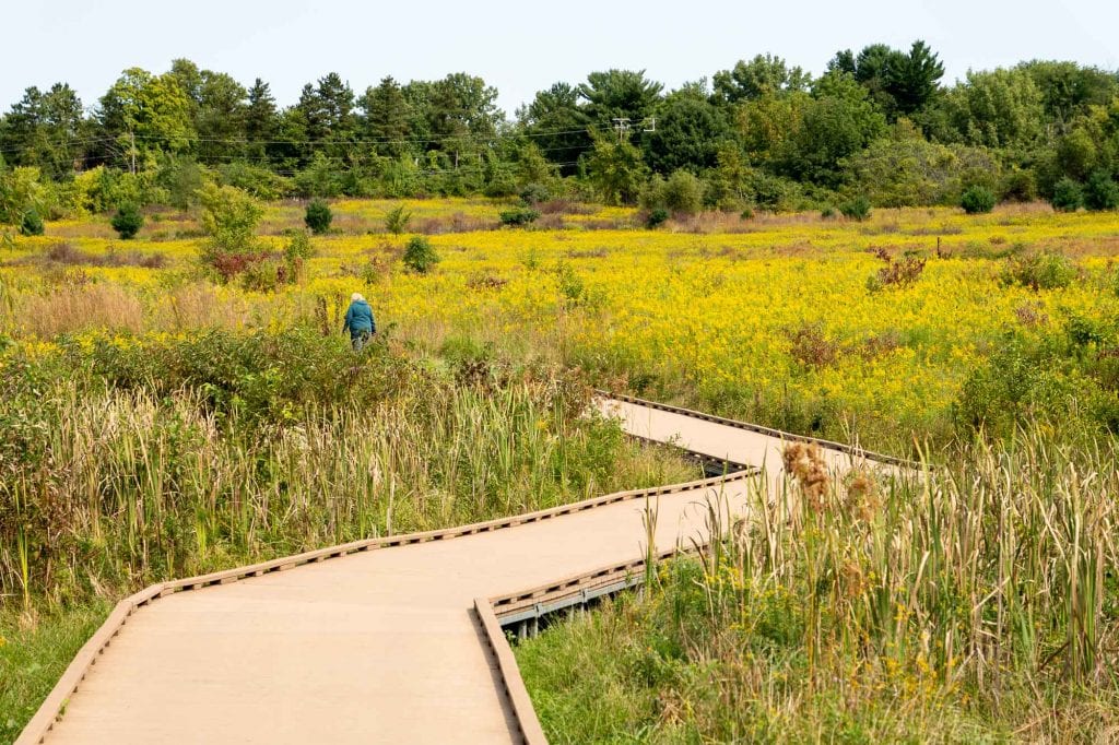 Munroe Falls Metro Park Meadow Trail