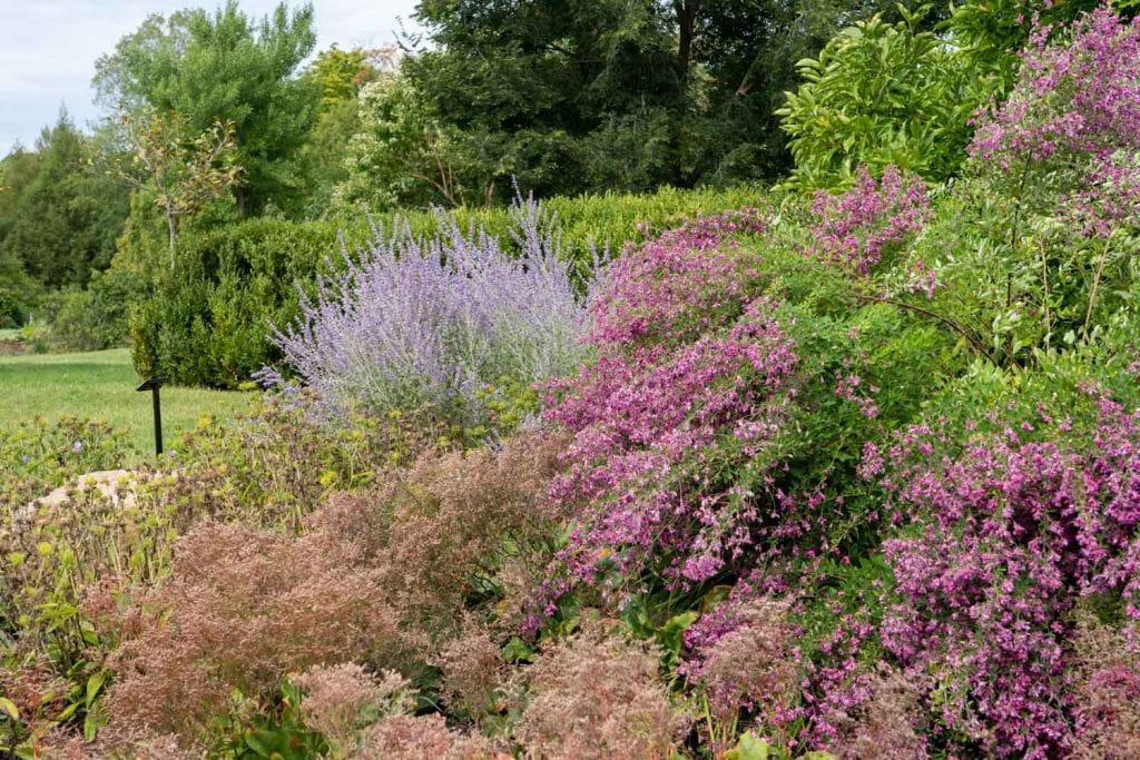 Florece en Holden Arboretum