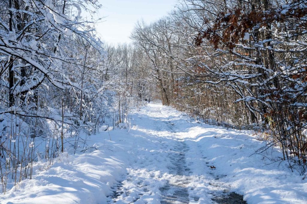 Sendero CVNP en invierno
