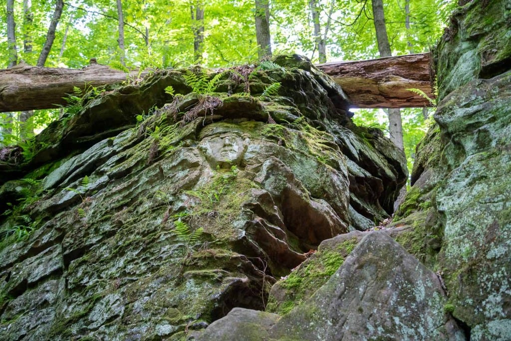 Rostro tallado en Worden's Ledges