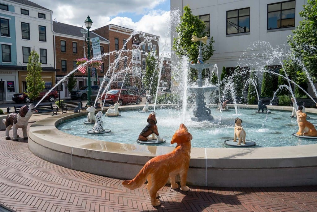 Fuente para perros en Mount Vernon
