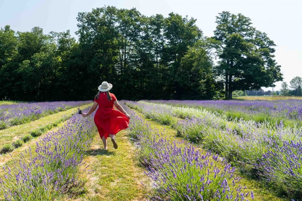 Amanda en Luvin Lavender Farms