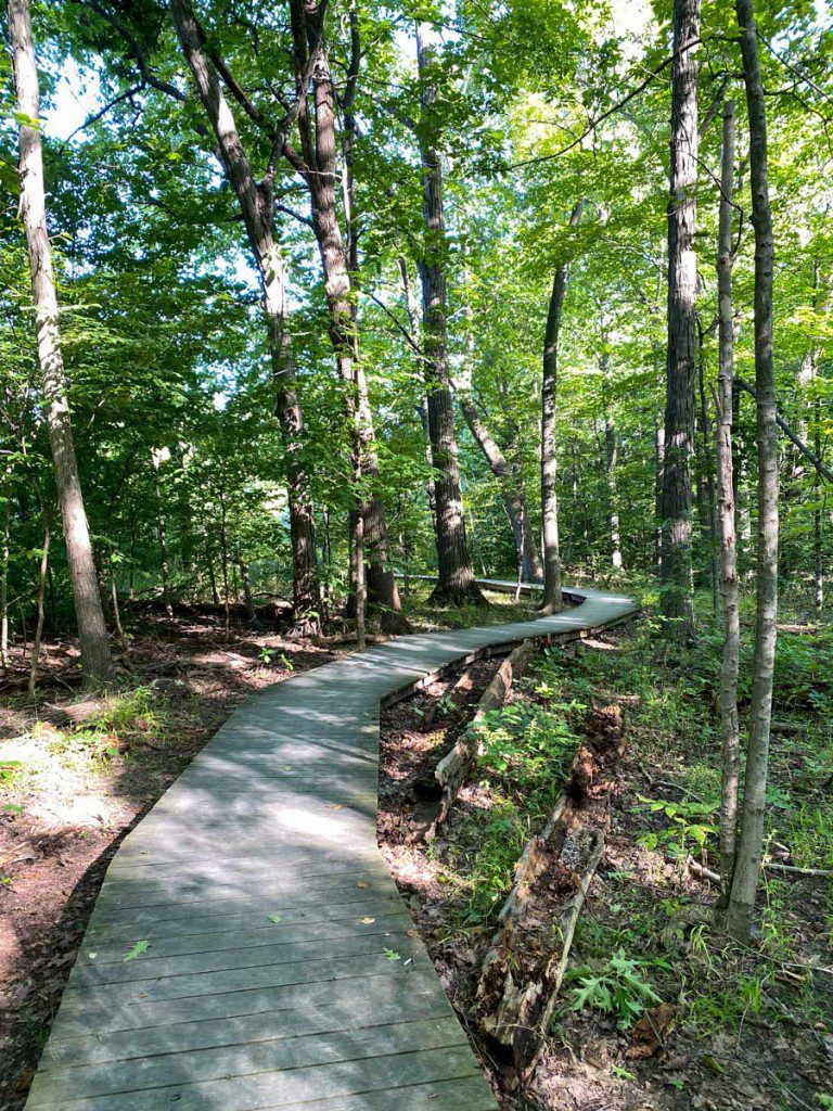 Sendero Wood Hollow Metro Park