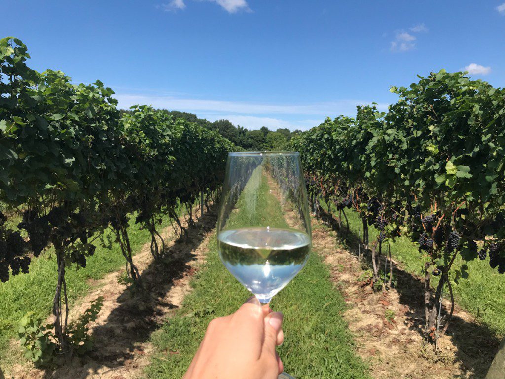 Cata de vinos fuera de Cleveland