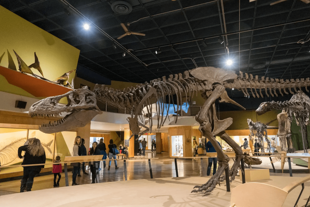 Dinosaurio en el Museo de Historia Natural de Cleveland